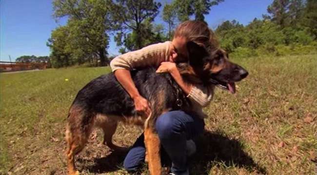 woman hugging a large German Shepherd